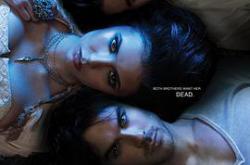 吸血鬼日记  第二季MP4格式