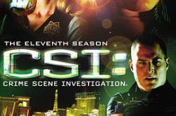 犯罪现场调查 第十一季MP4格式