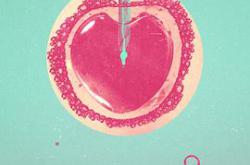 糊涂好孕姐MP4格式