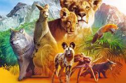 动物本色第一季MP4格式