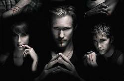 真爱如血  第二季MP4格式