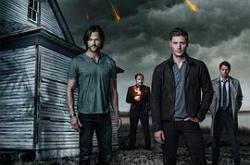 邪恶力量 第九季MP4格式