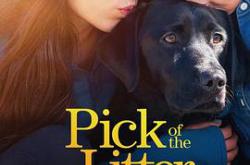 崽之抉择第一季MP4格式