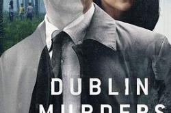 都柏林凶案MP4格式