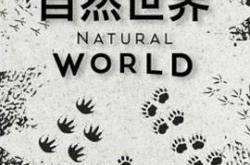 自然世界第一季MP4格式