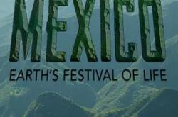 墨西哥：地球生命的狂欢MP4格式