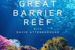 老爵爷的大堡礁之旅MP4格式