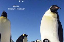 企鹅群里有特务MP4格式