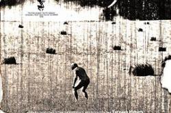 直立行走MP4格式