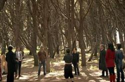 全能约翰逊兄弟第二季MP4格式