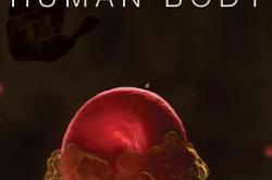 人体奥秘MP4格式
