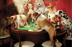 犬友笑传第三季MP4格式