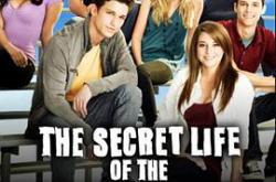 青春密语第三季MP4格式