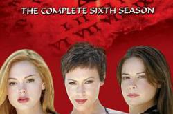 圣女魔咒第六季MP4格式