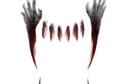 铁杉树丛第二季MP4格式