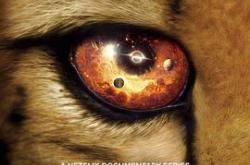 我们的浩瀚宇宙MP4格式