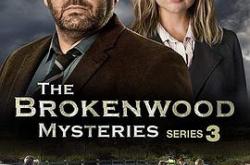 断林镇谜案第二季MP4格式