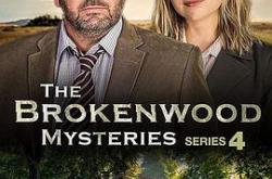 断林镇谜案第四季MP4格式