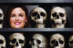 识骨寻踪第四季MP4格式