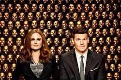 识骨寻踪第九季MP4格式