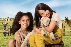 可爱的小农场MP4格式