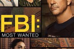 联邦调查局：通缉要犯第五季MP4格式
