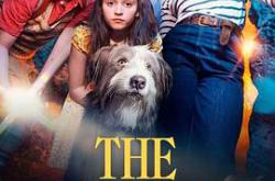 五伙伴历险记MP4格式