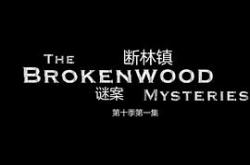 断林镇谜案第十季MP4格式