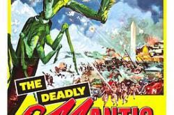 致命螳螂MP4格式