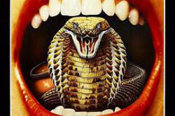 变形蛇魔MP4格式