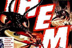 X 放射线MP4格式