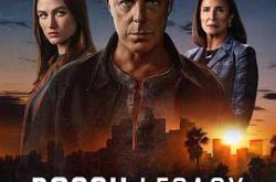 博斯：传承第三季MP4格式