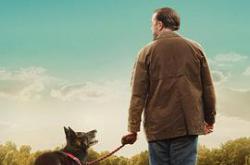 后半生第三季MP4格式