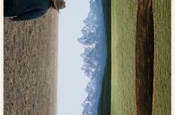 荒野迷案第一季MP4格式