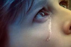 邪恶第一季MP4格式