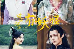 喵喵汪汪MP4格式