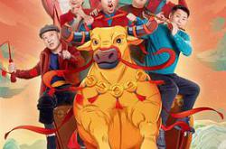 乡村爱情13MP4格式