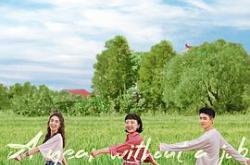 没有工作的一年MP4格式