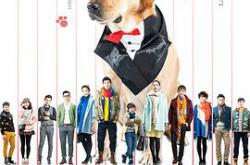 神犬小七第一季MP4格式