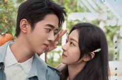 你好呀，我的橘子恋人MP4格式