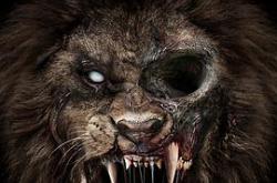 动物僵尸MP4格式