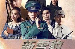 雪豹坚强岁月MP4格式