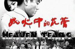 战火中的花蕾MP4格式