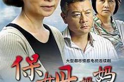 保姆妈妈MP4格式