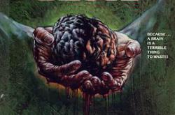 满血大脑MP4格式