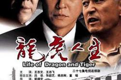 龙虎人生王志文版MP4格式