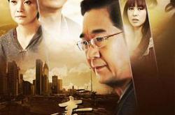 青瓷王志文版MP4格式