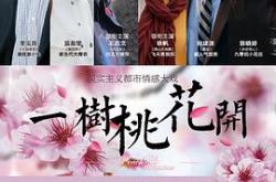 一树桃花开王志文版MP4格式