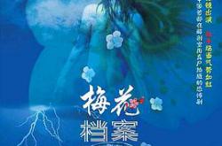 梅花档案MP4格式