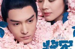 将军在上MP4格式